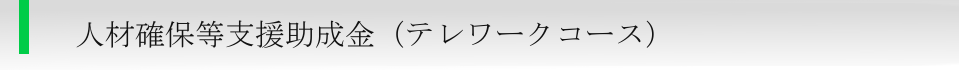 人材確保等支援助成金（テレワークコース）