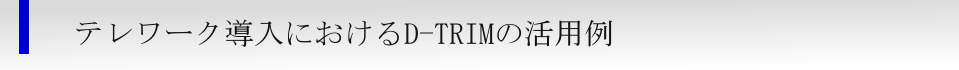 テレワーク導入におけるD-TRIMの活用例
