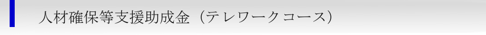 人材確保等支援助成金（テレワークコース）